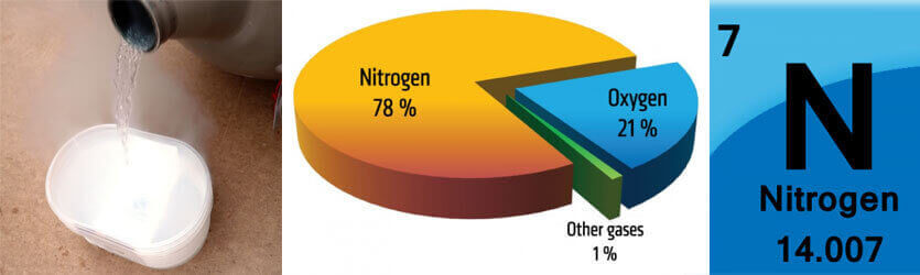 What is Nitrogen